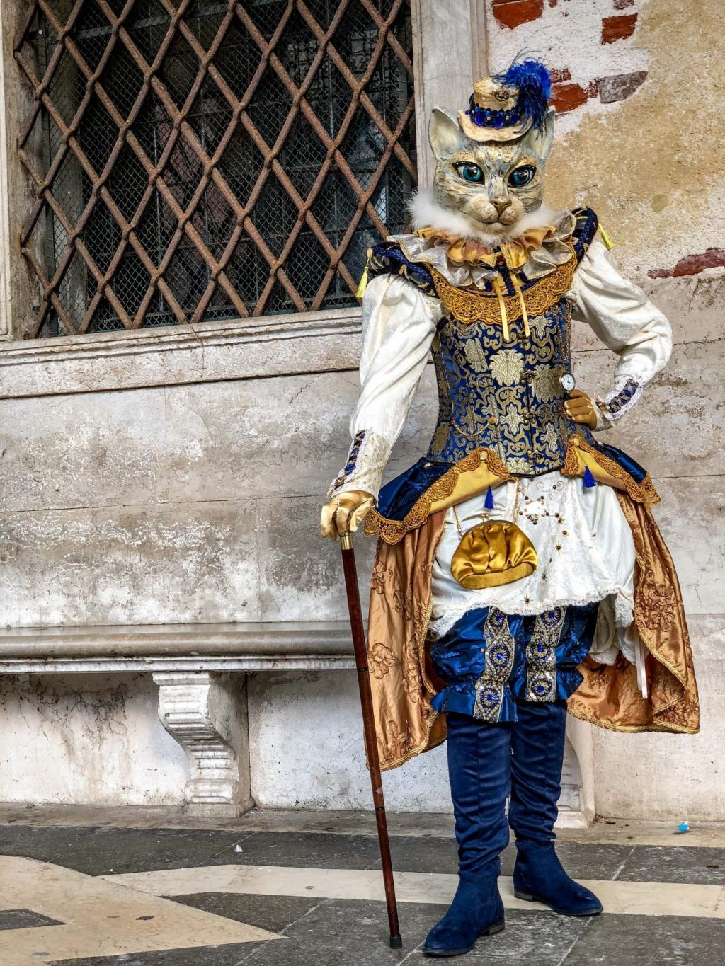 Cat Masquarade Costumes And Mask Ideas, Awesome Carnival Masks, Masquerade Masks, Masquarade Masks, Venice Carnival 2018 Photos, Venice Carnival, Carnival Venice Italy, Venice Carnival, Carnevale Di Venezia, Venetian Masquerade Masks, Carnivale Di Venezia, Carnival Venice, Carnival Venezia, Best Halloween Costume Ideas On Pinterest, Carnaval Venice, Carnaval Venezia, Carnaval Di Venezia