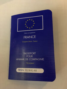 How To Travel Europe With Pets, Traveling Poodle French Pet Passport, How To Travel To Europe With Pets, Travel Europe With Dogs.