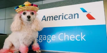 21 Best Airlines To Fly To Europe With Pets & Animals From America To Europe | Best Airlines To Fly, Europe, How To Save On Travels, Italy, London, Paris, Scotland, Travel Savings, Travel With Pets | Blog | Pet Travel Checklist | Blog | P.s. This Rocks Travel &Amp; Interior Design Blogs By Christi Tasker A Serial Entrepreneurs Lifestyle Blog Full Of Vacation Ideas, Home Design Inspiration, Art, Recipes, Parenting Tips, Over 40S Fashion Inspiration Home