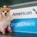 21 Best Airlines To Fly To Europe With Pets & Animals From America To Europe | Best Airlines To Fly, Europe, How To Save On Travels, Italy, London, Paris, Scotland, Travel Savings, Travel With Pets | Blog | How To Travel Europe With Pets | Blog | P.s. This Rocks Travel &Amp; Interior Design Blogs By Christi Tasker A Serial Entrepreneurs Lifestyle Blog Full Of Vacation Ideas, Home Design Inspiration, Art, Recipes, Parenting Tips, Over 40S Fashion Inspiration Best Airlines To Fly To Europe With Pets, Traveling Poodle, Flying Animals, Dog Flights, Flying To Europe With A Puppy, Flying With A Cat, Flying With A Puppy, Dogs On Airplanes, Traveling With A Dog, Traveling With A Cat, Pet Travel Checklist, Traveling With Pets, Traveling With Animals, How To Travel With Animals, How To Travel With A Dog, How To Travel With Dogs, Travel To Europe With Dog, Travel To Europe With Pets, Travel Internationally With Pets