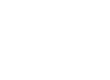 Palm Tree With Birds And Clouds