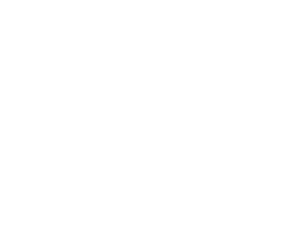 Passport Icon
