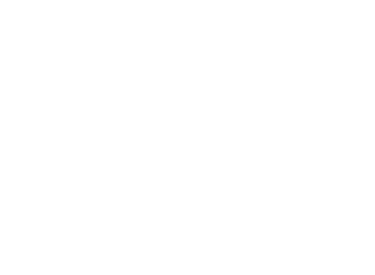 White Ship'S Steering Wheel Icon
